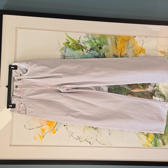 Agolde Dax Upsized Jeans In Popsicle NWOT - Picture 3 of 10